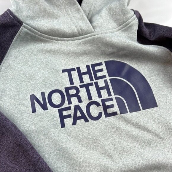 The North Face Womens Hoodie Size S Gray & Purple - Picture 2 of 8